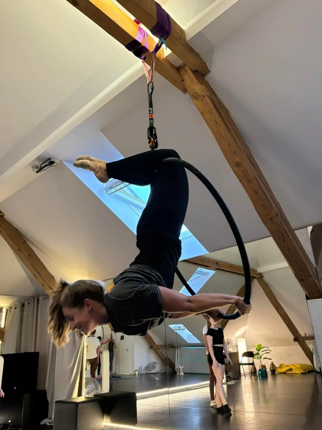 Aerial & Pole